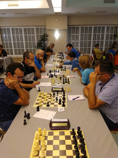 Carthagineses y Romanos